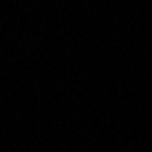 Meet your Posher, Vi